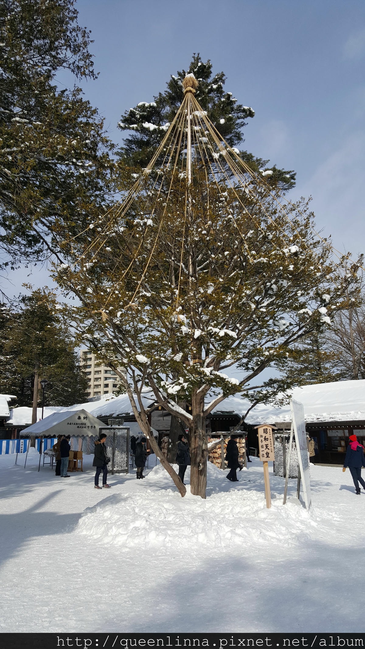 20170201_104953.jpg 20170201_104953.jpg