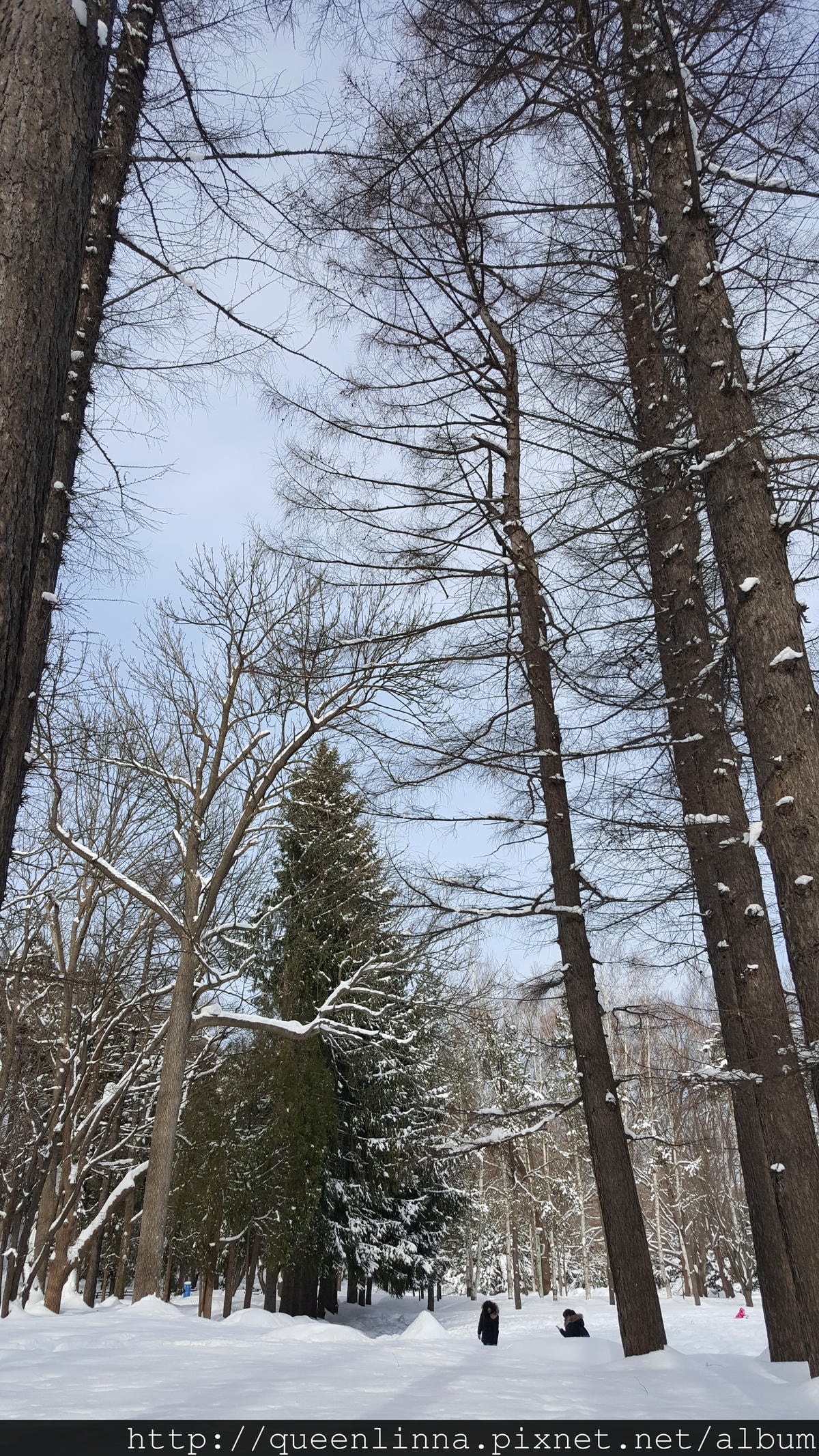 20170201_103244.jpg 20170201_103244.jpg