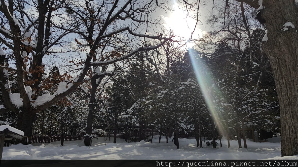 20170201_110944.jpg 20170201_110944.jpg