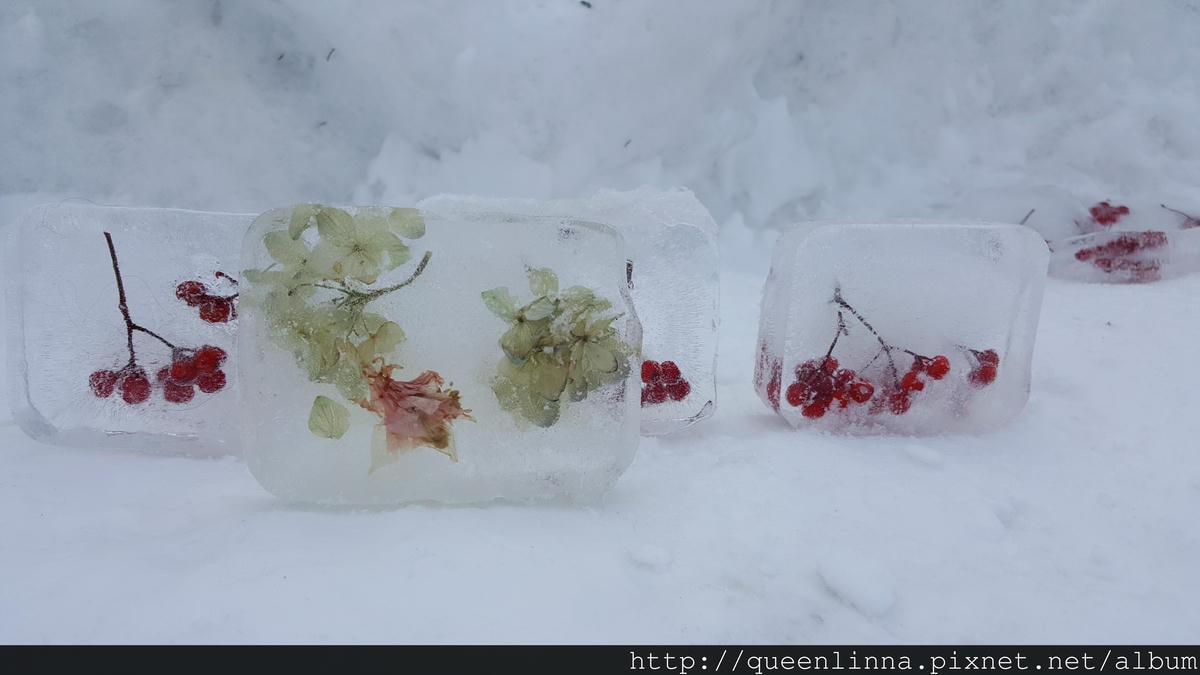 20170204_152341.jpg 20170204_152341.jpg