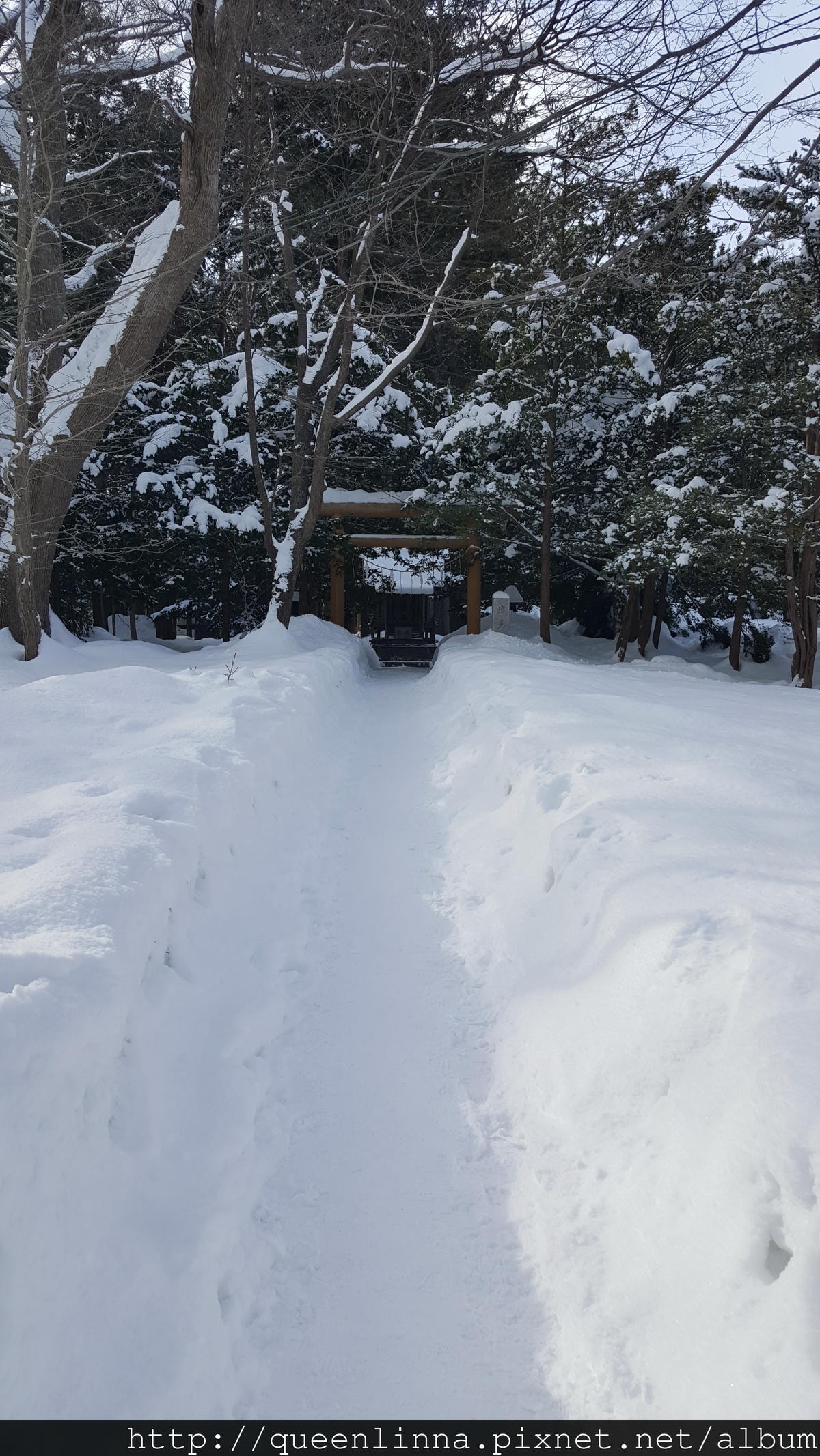 20170201_103858.jpg 20170201_103858.jpg