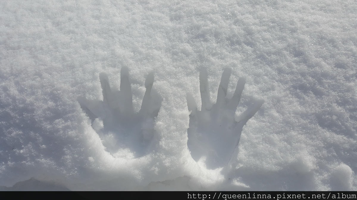 20170201_111958.jpg 20170201_111958.jpg