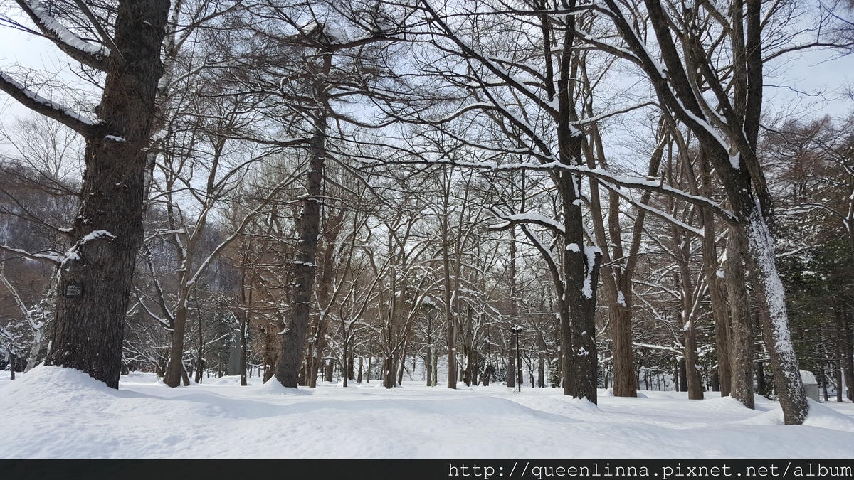 20170201_102827.jpg 20170201_102827.jpg