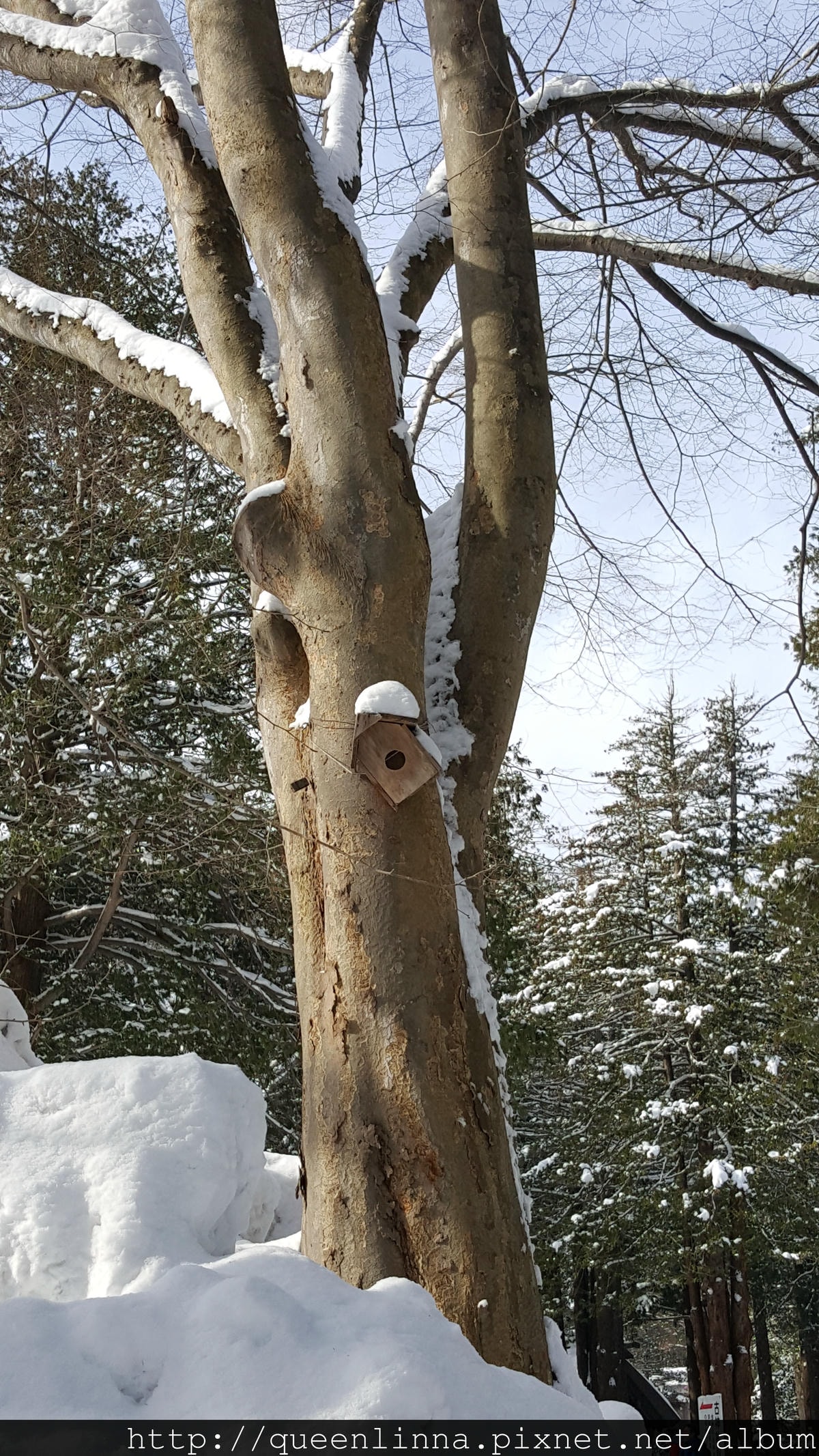 20170201_104308.jpg 20170201_104308.jpg