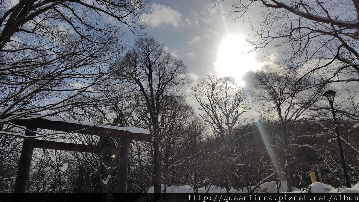 20170201_111107.jpg 20170201_111107.jpg