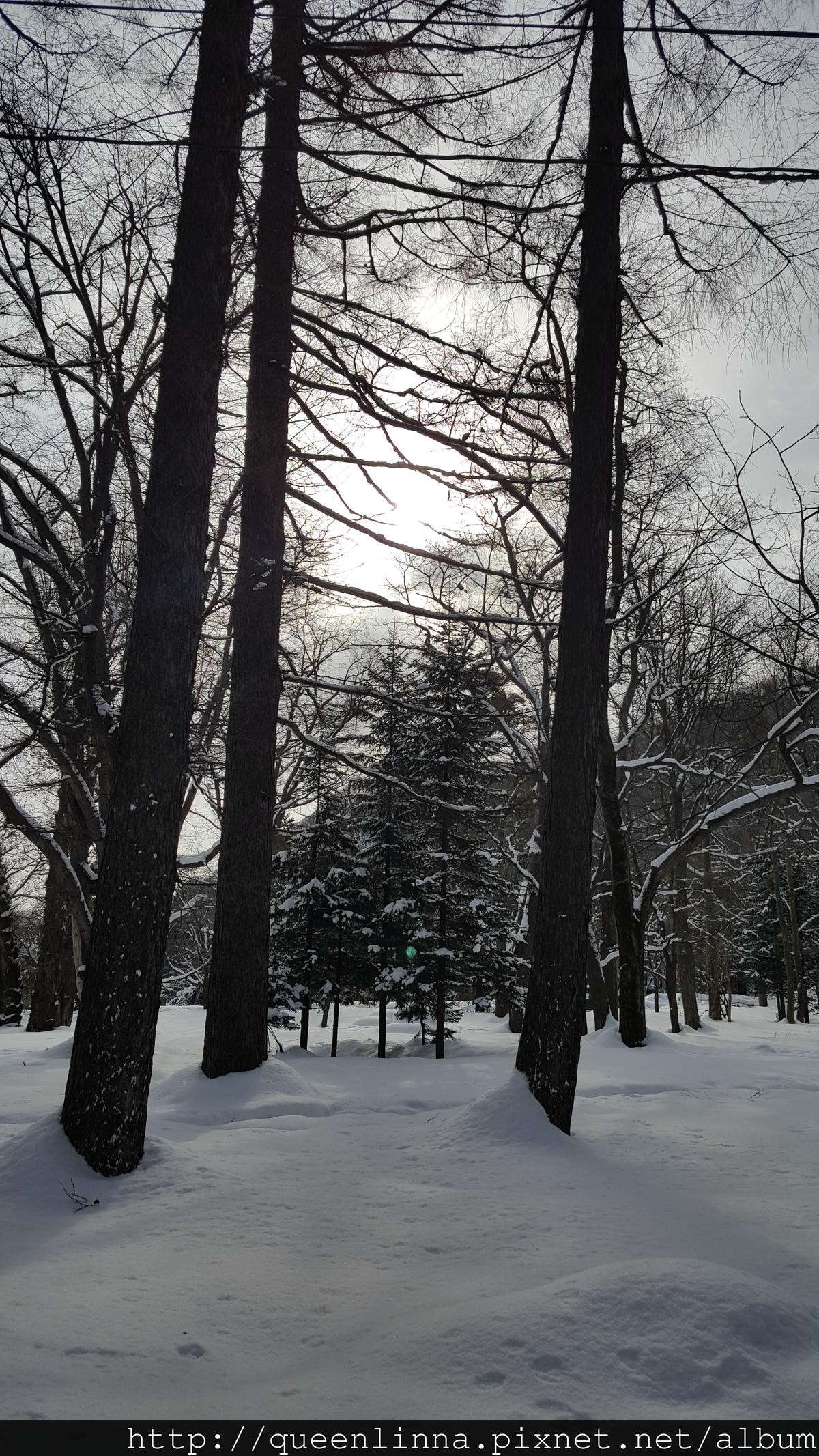 20170201_103304.jpg 20170201_103304.jpg