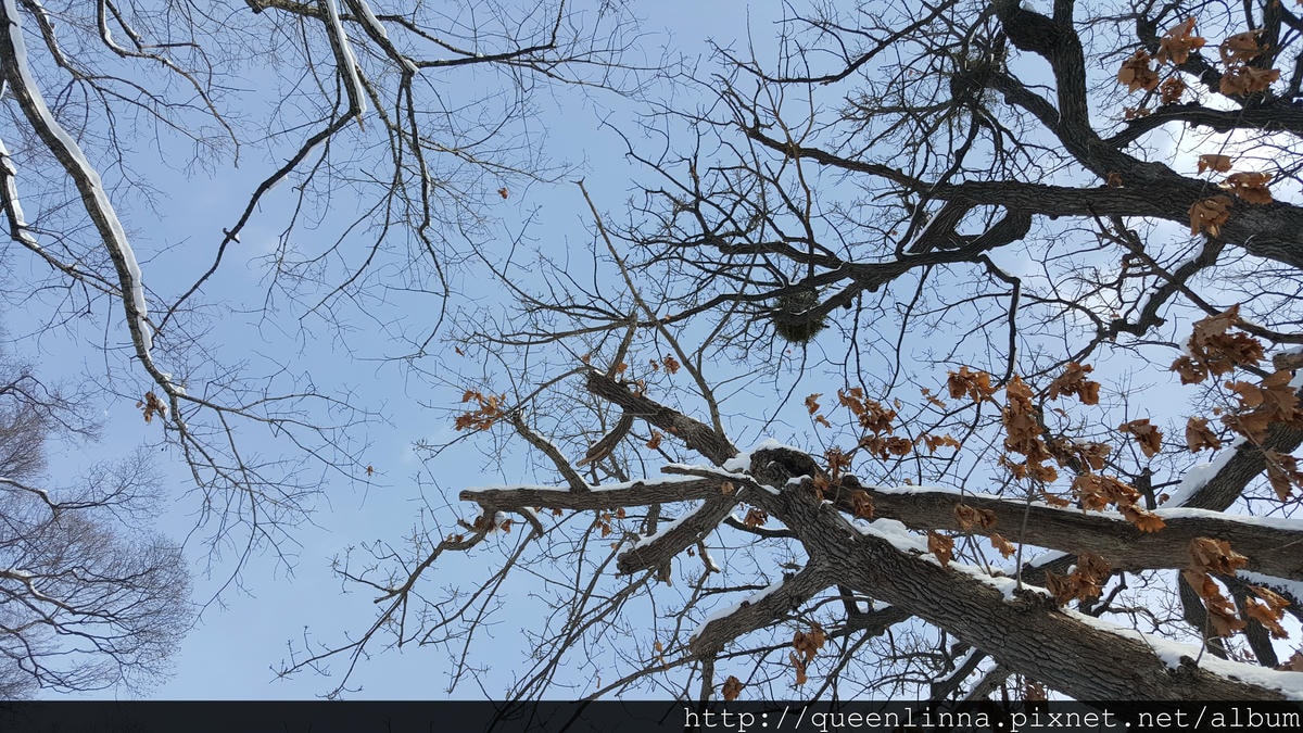 20170201_103820.jpg 20170201_103820.jpg