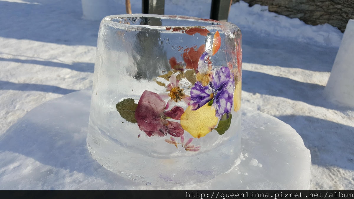 20170205_084850.jpg 20170205_084850.jpg