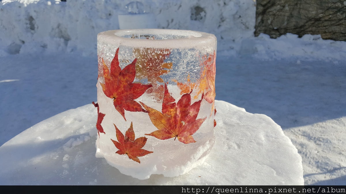 20170205_084858.jpg 20170205_084858.jpg