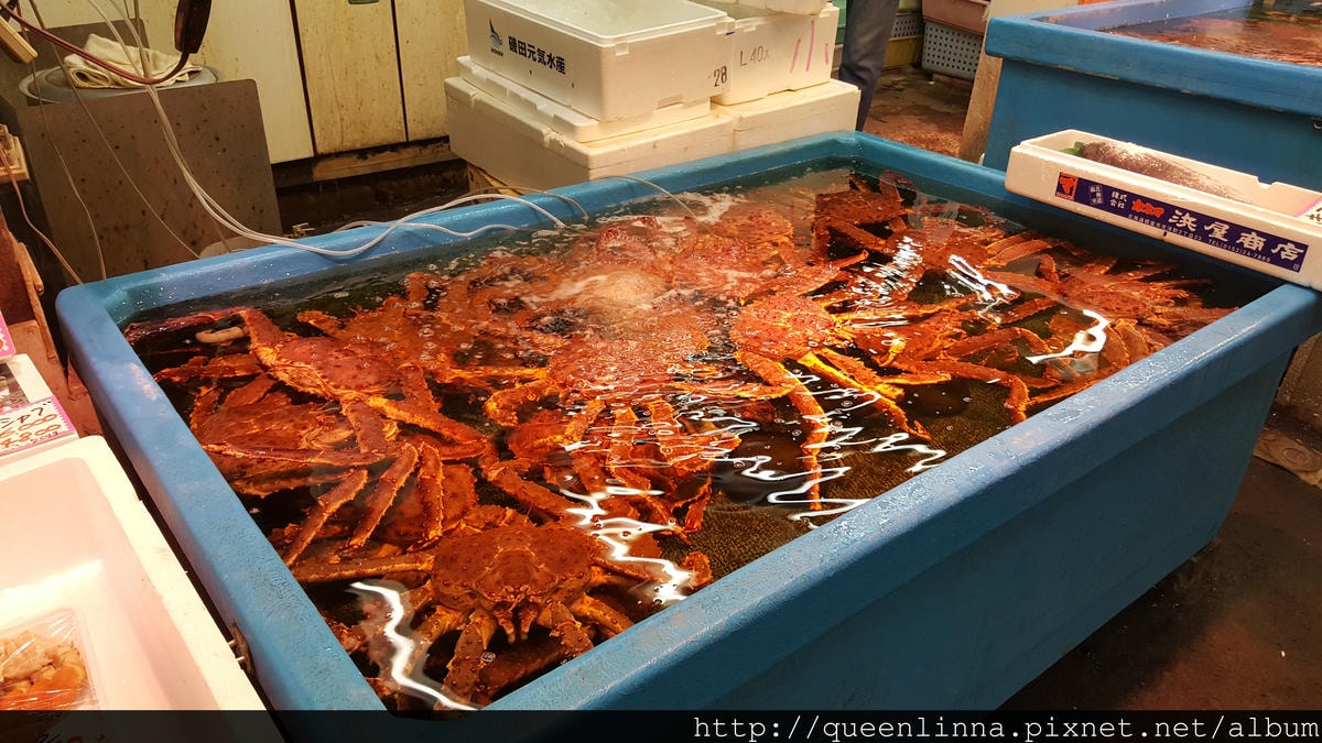 20170205_083436.jpg 20170205_083436.jpg