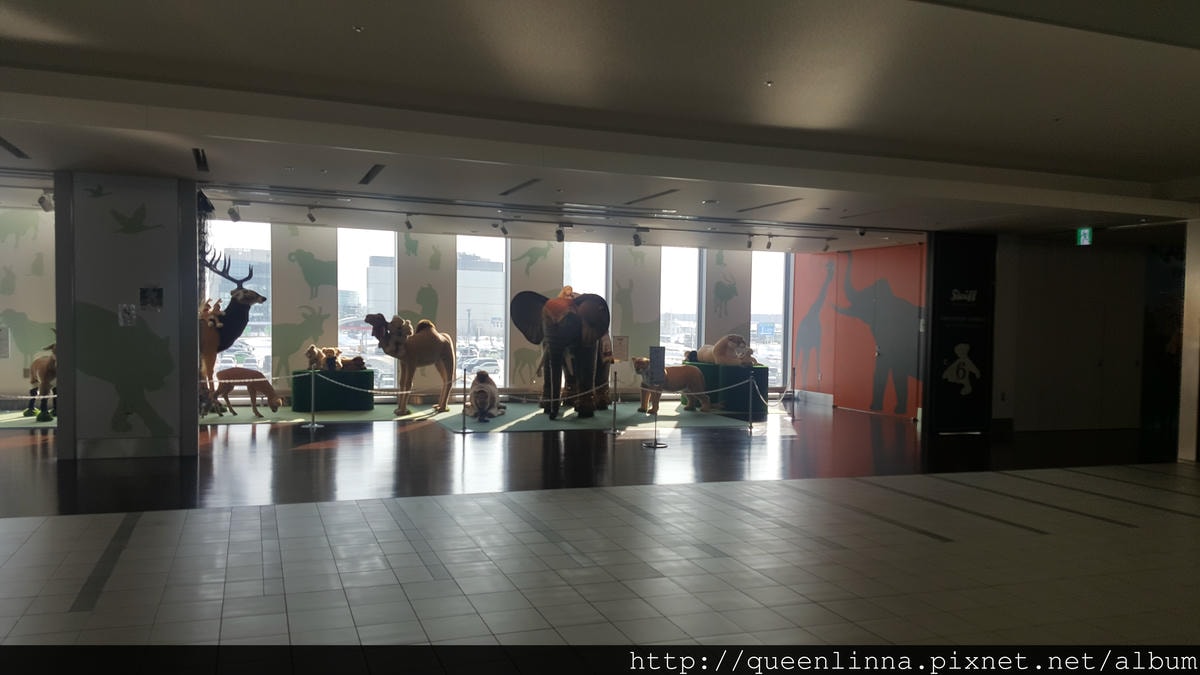 20170205_131452.jpg 20170205_131452.jpg