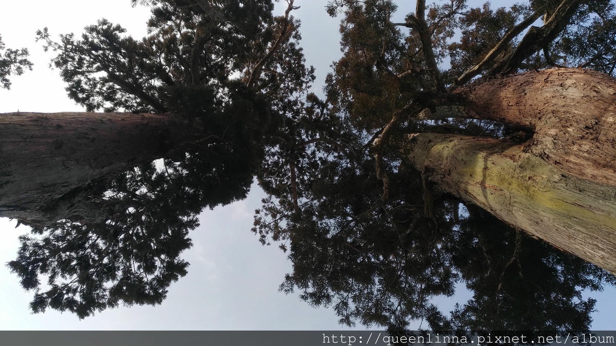 P_20180221_122716_vHDR_Auto.jpg P_20180221_122716_vHDR_Auto.jpg