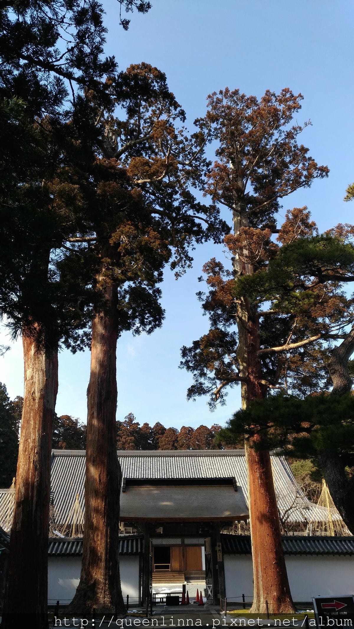 P_20180221_121220_vHDR_Auto.jpg P_20180221_121220_vHDR_Auto.jpg