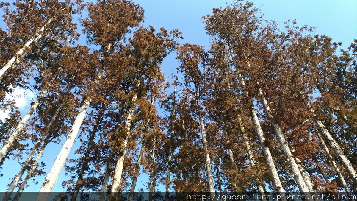 P_20180221_120834_vHDR_Auto.jpg P_20180221_120834_vHDR_Auto.jpg