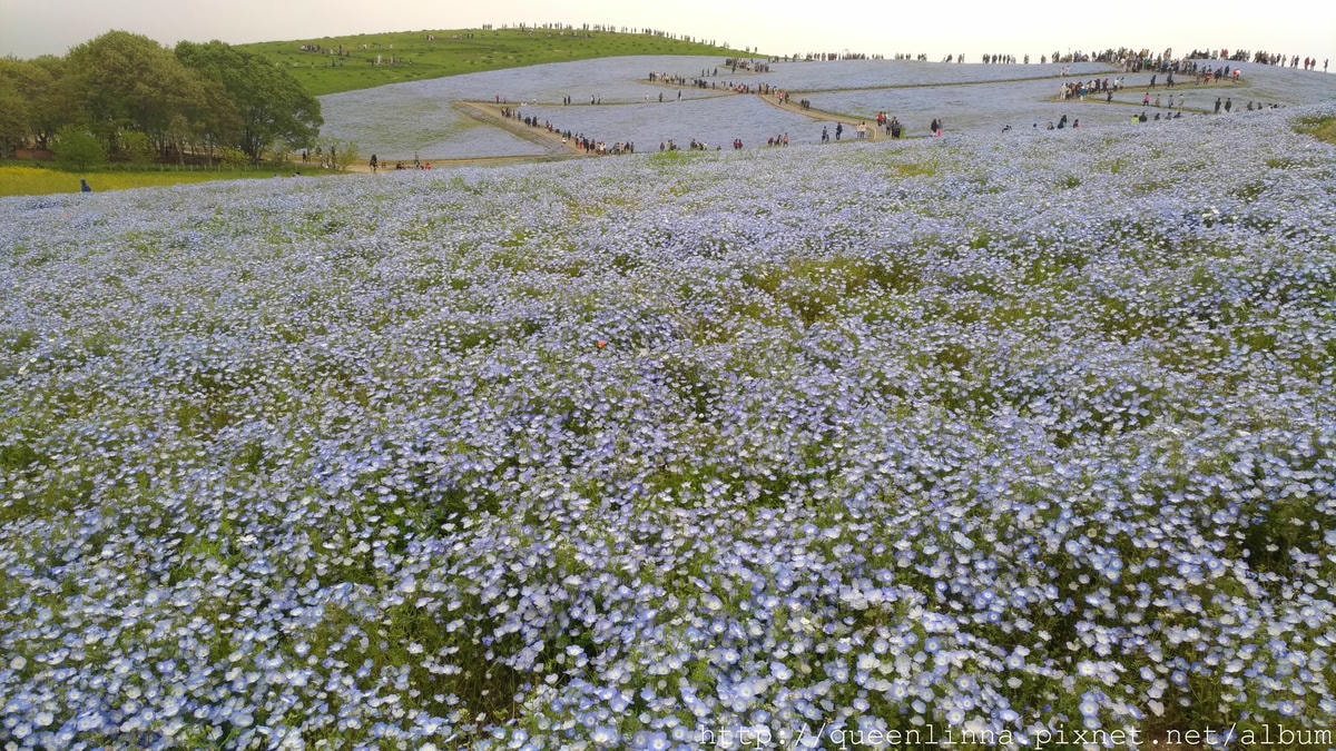 P_20180424_102739_vHDR_Auto.jpg P_20180424_102739_vHDR_Auto.jpg