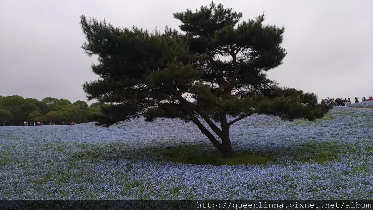 P_20180424_104558_LL.jpg P_20180424_104558_LL.jpg