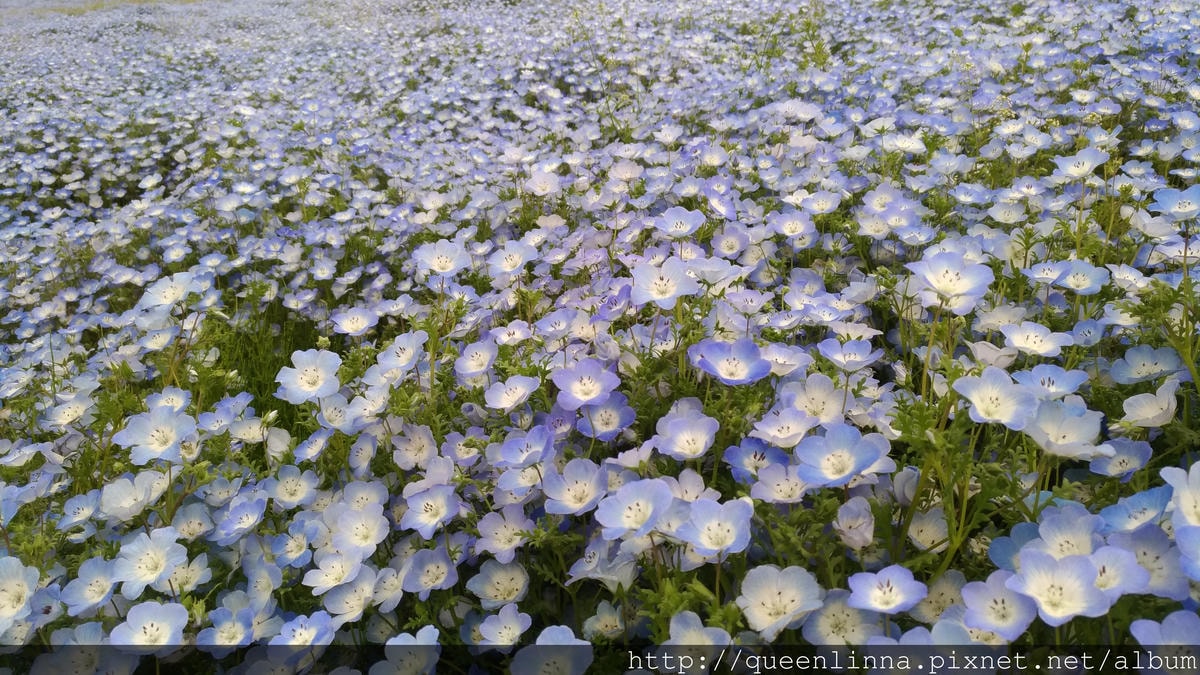 P_20180424_121355_vHDR_Auto.jpg P_20180424_121355_vHDR_Auto.jpg