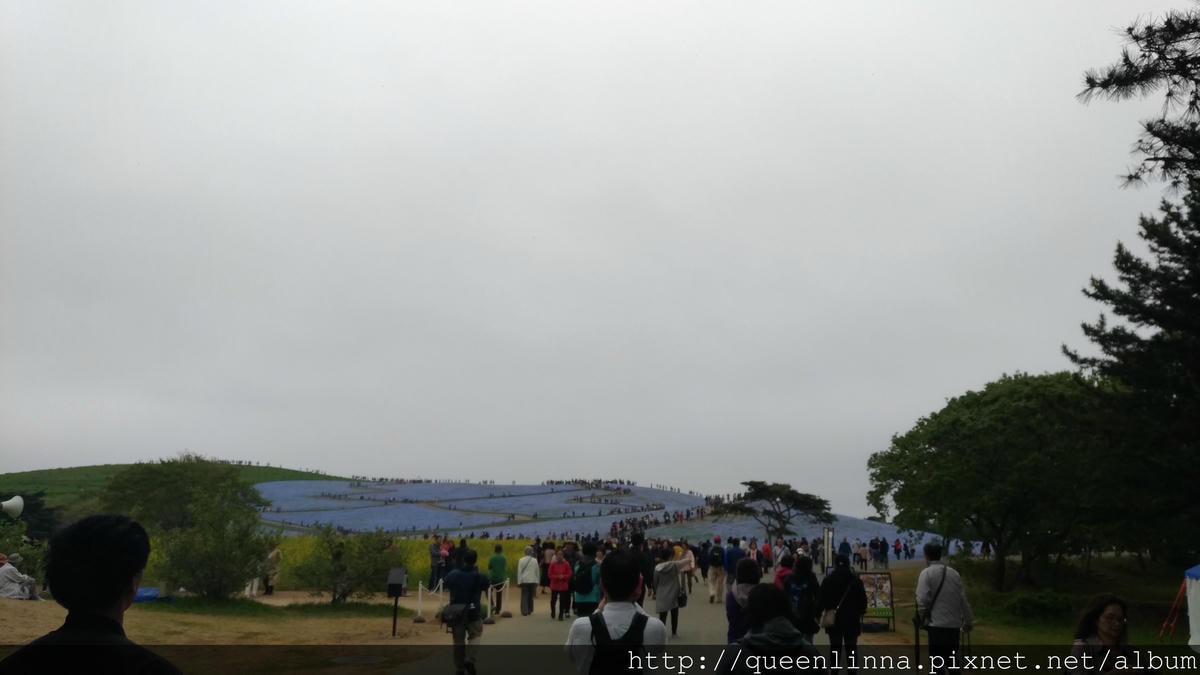 P_20180424_102001_vHDR_Auto.jpg P_20180424_102001_vHDR_Auto.jpg