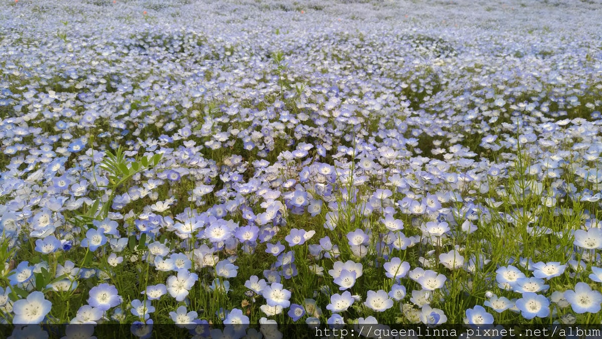 P_20180424_103359_vHDR_Auto.jpg P_20180424_103359_vHDR_Auto.jpg