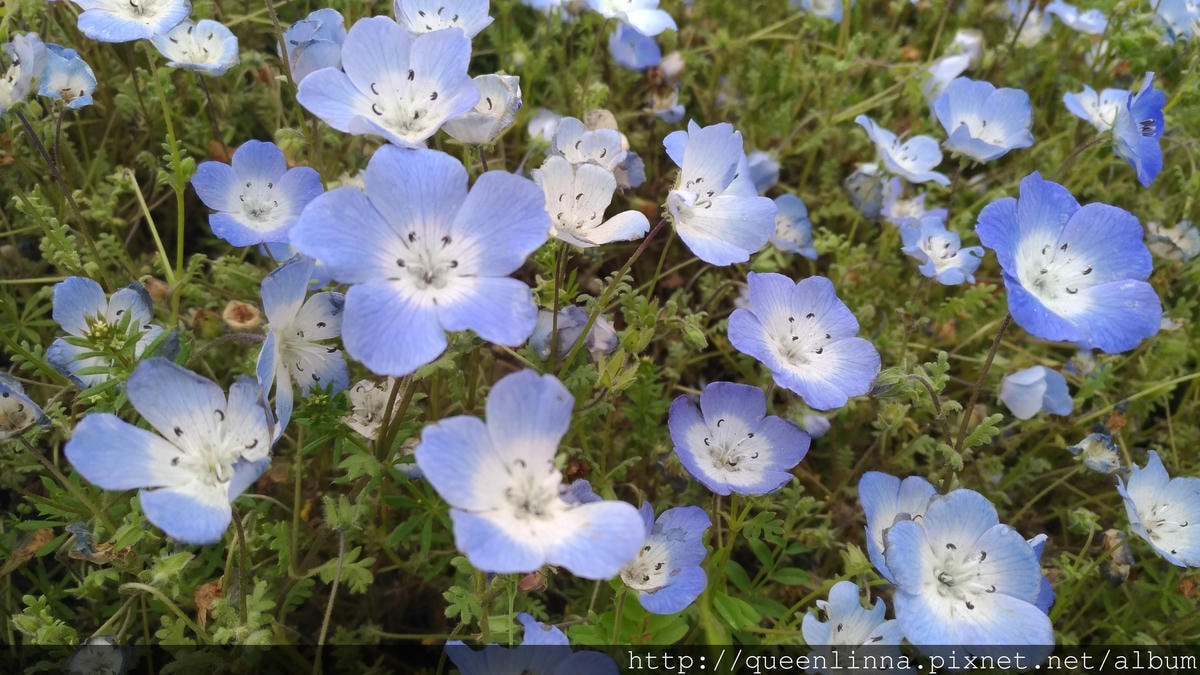 P_20180424_102547_vHDR_Auto.jpg P_20180424_102547_vHDR_Auto.jpg