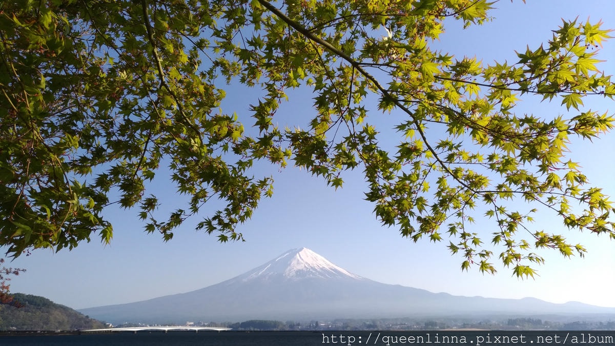 P_20180421_163745_vHDR_Auto.jpg P_20180421_163745_vHDR_Auto.jpg