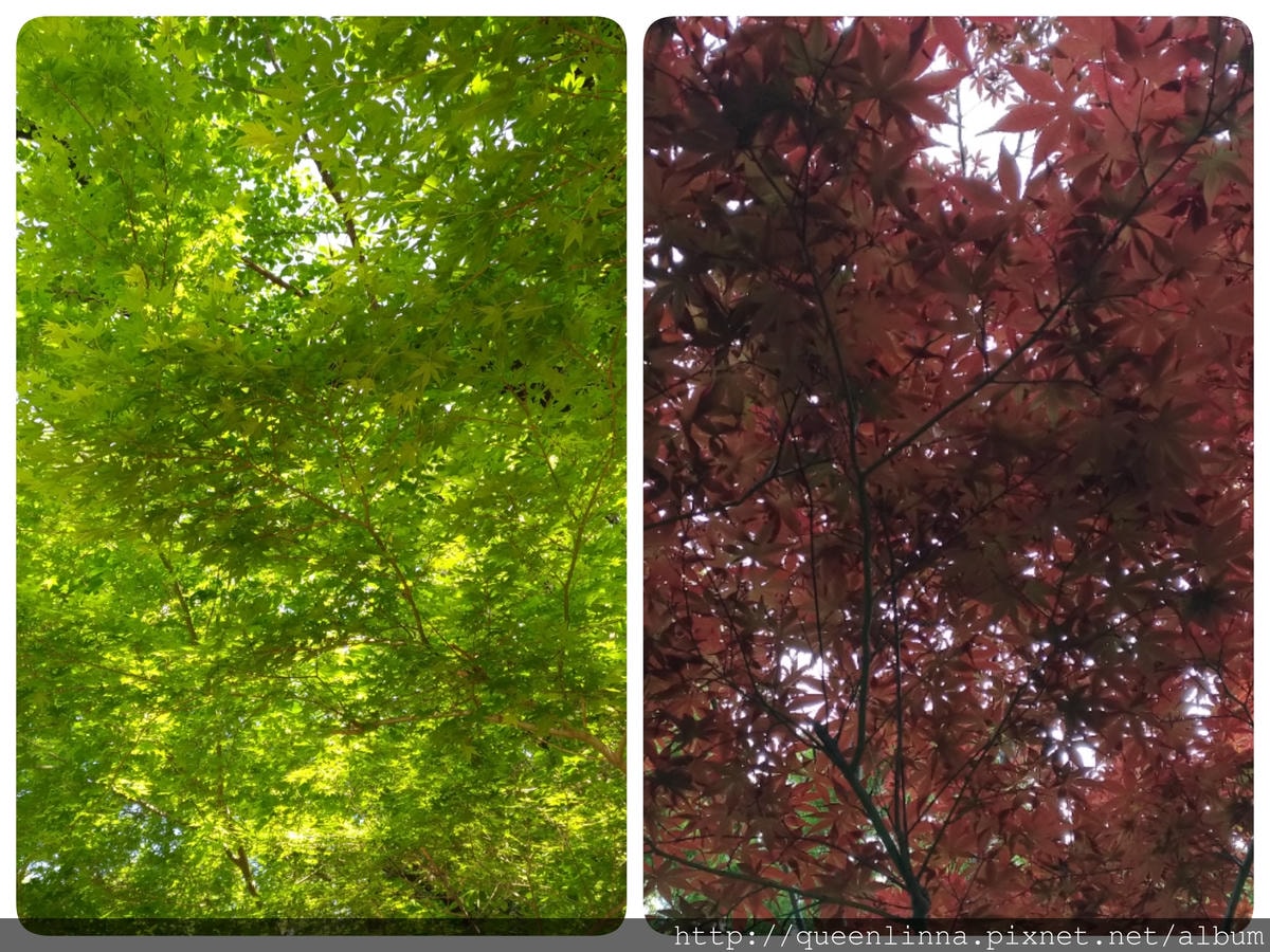 18-06-14-09-41-07-257_deco.jpg 18-06-14-09-41-07-257_deco.jpg