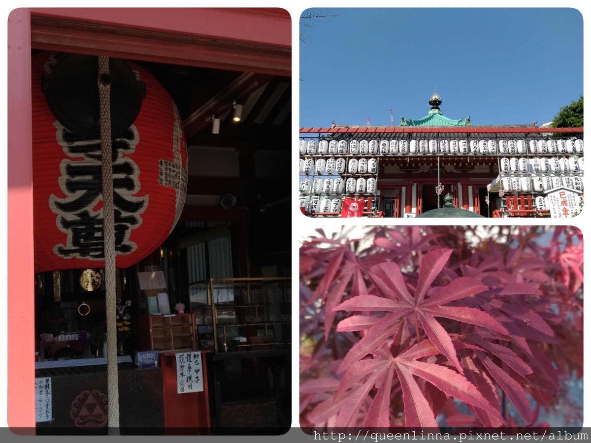 18-06-13-15-39-30-798_deco.jpg 18-06-13-15-39-30-798_deco.jpg