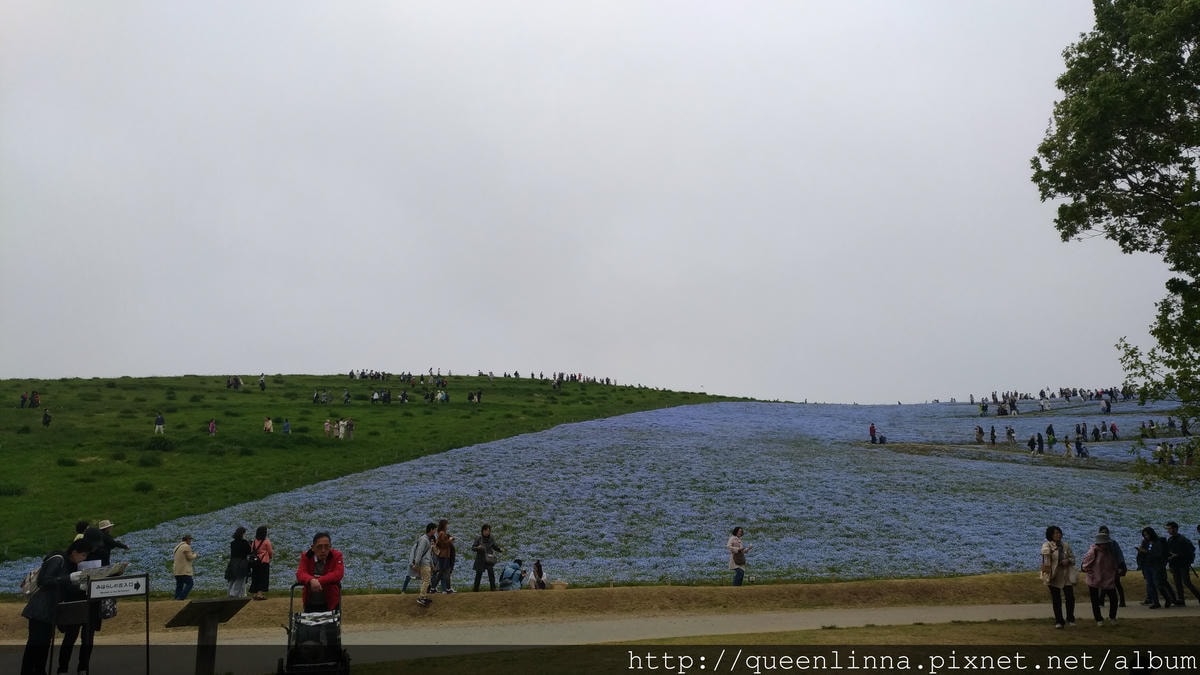 P_20180424_114724_vHDR_Auto.jpg P_20180424_114724_vHDR_Auto.jpg