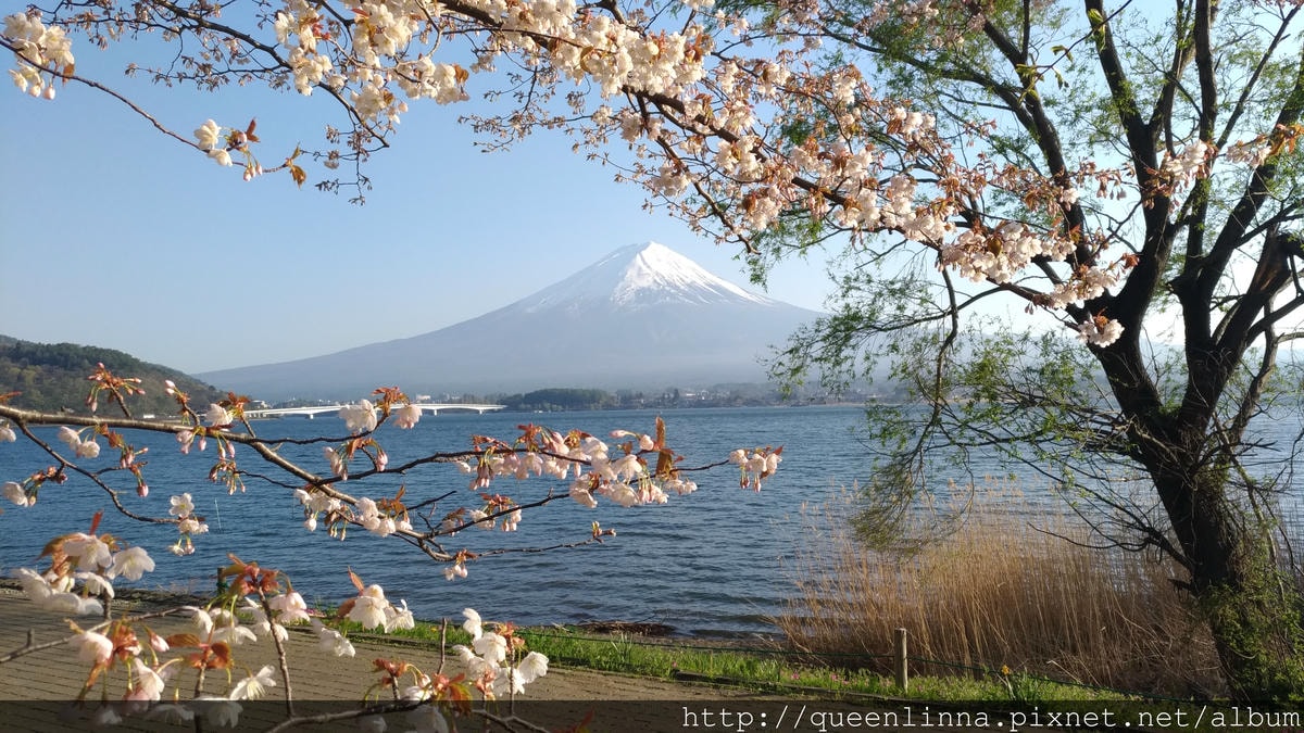 P_20180421_164709_vHDR_Auto.jpg P_20180421_164709_vHDR_Auto.jpg