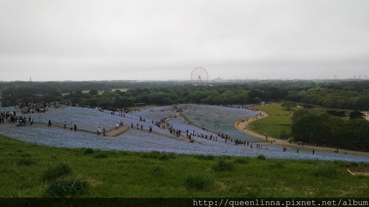 P_20180424_111808_vHDR_Auto.jpg P_20180424_111808_vHDR_Auto.jpg