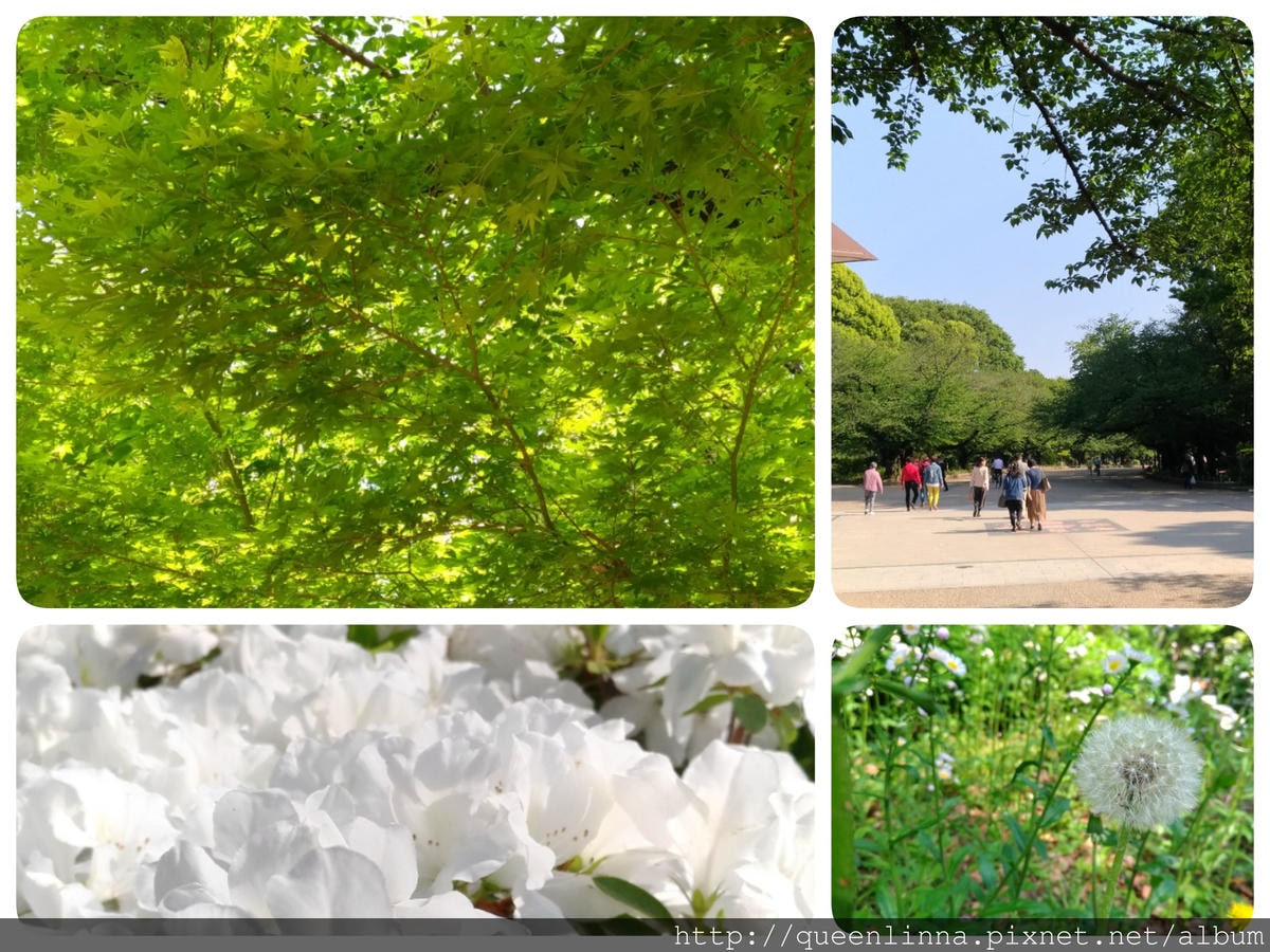 18-06-13-15-40-15-743_deco.jpg 18-06-13-15-40-15-743_deco.jpg