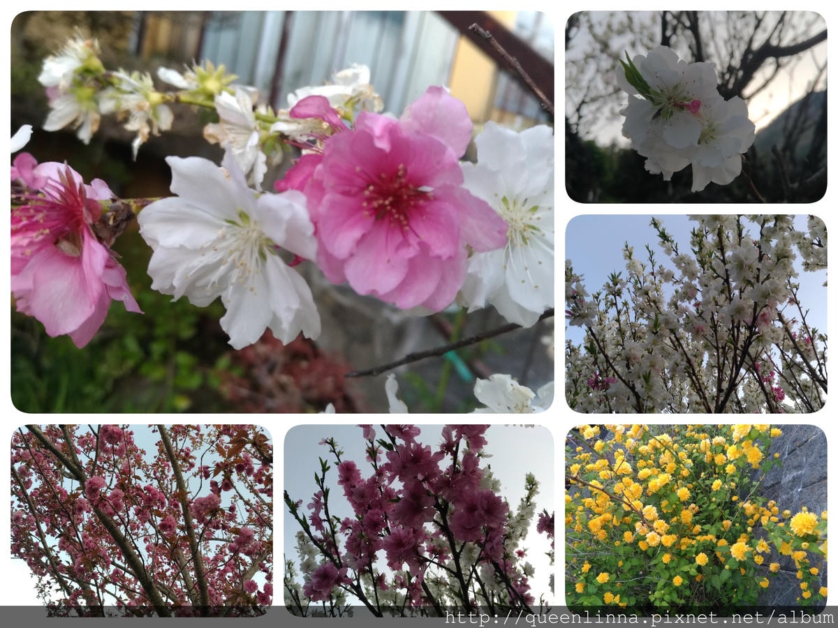 18-06-14-09-38-29-431_deco.jpg 18-06-14-09-38-29-431_deco.jpg