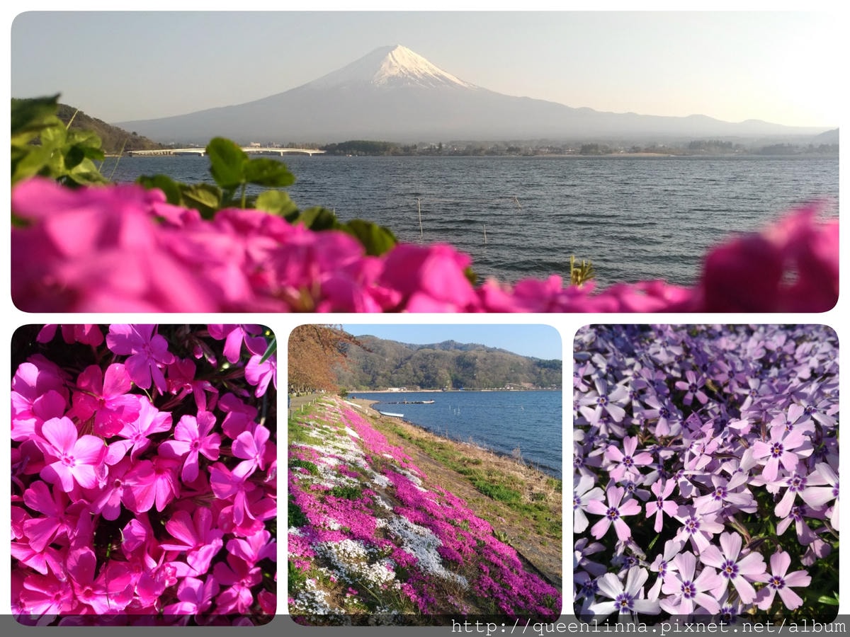 18-06-14-09-39-40-039_deco.jpg 18-06-14-09-39-40-039_deco.jpg