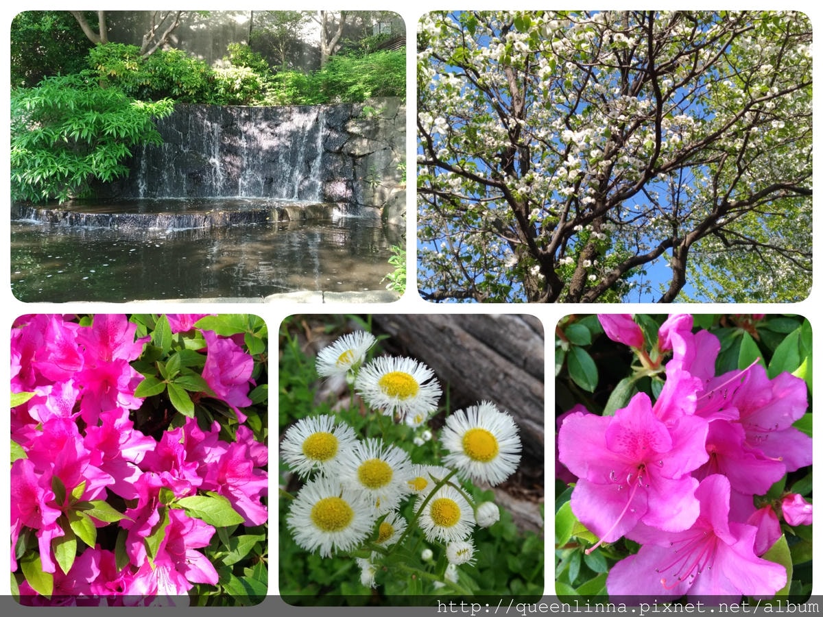 18-06-13-15-38-38-969_deco.jpg 18-06-13-15-38-38-969_deco.jpg