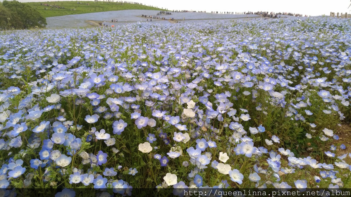 P_20180424_102750_vHDR_Auto.jpg P_20180424_102750_vHDR_Auto.jpg