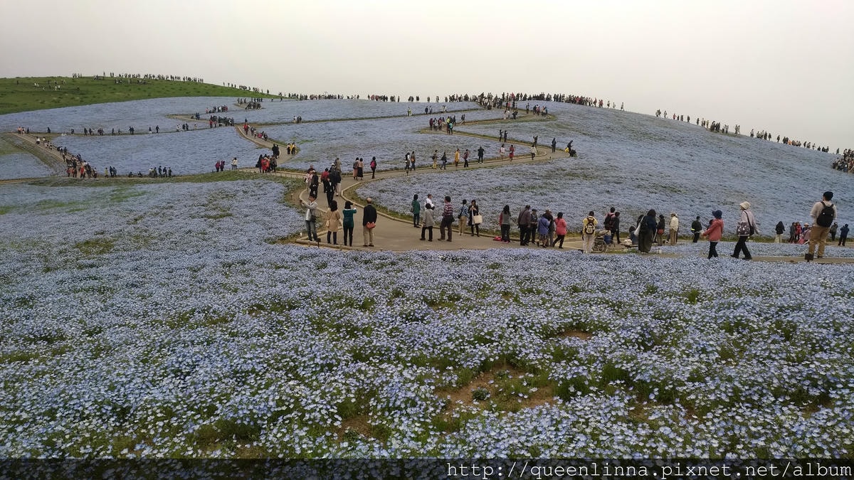 P_20180424_102900_vHDR_Auto.jpg P_20180424_102900_vHDR_Auto.jpg