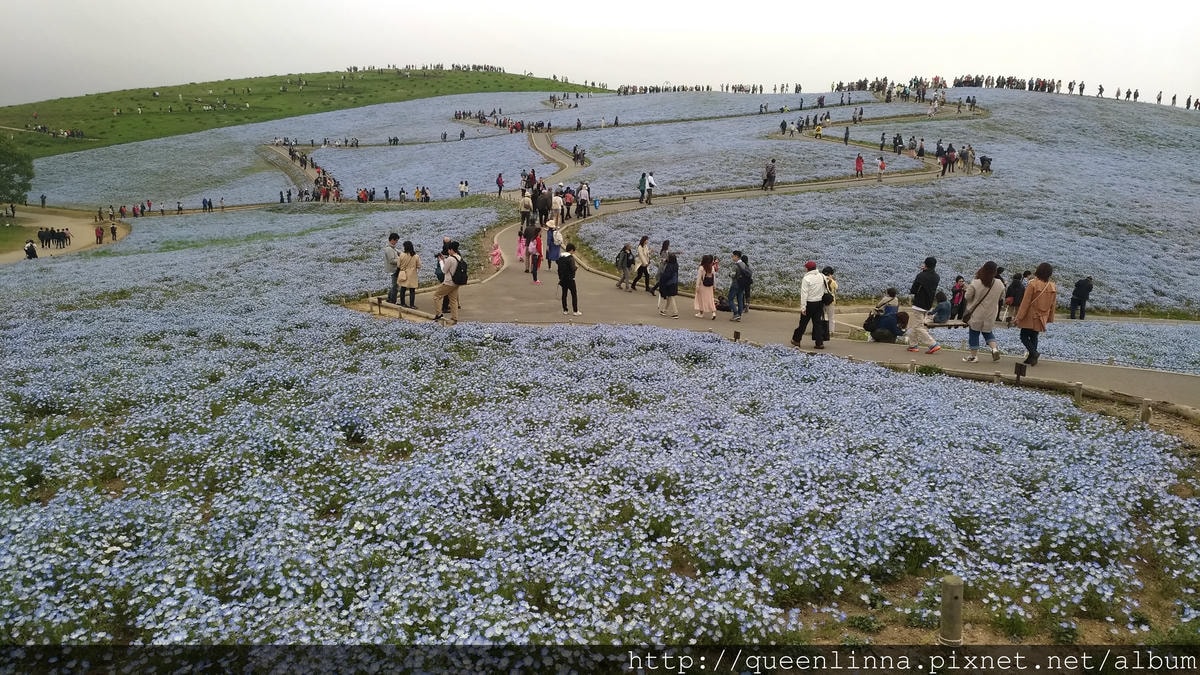 P_20180424_102950_vHDR_Auto.jpg P_20180424_102950_vHDR_Auto.jpg