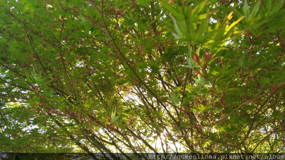 P_20180421_163557_vHDR_Auto.jpg P_20180421_163557_vHDR_Auto.jpg