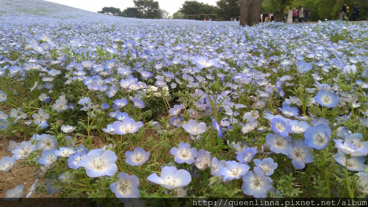 P_20180424_102310_vHDR_Auto.jpg P_20180424_102310_vHDR_Auto.jpg