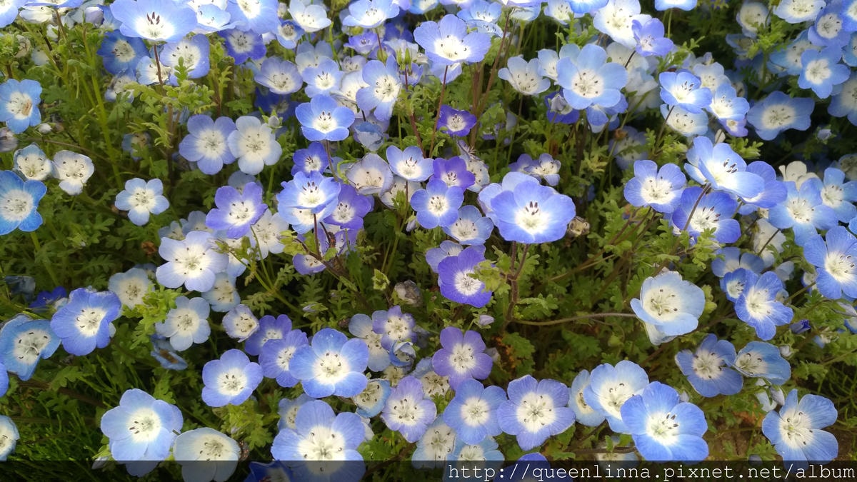 P_20180424_121029_vHDR_Auto.jpg P_20180424_121029_vHDR_Auto.jpg