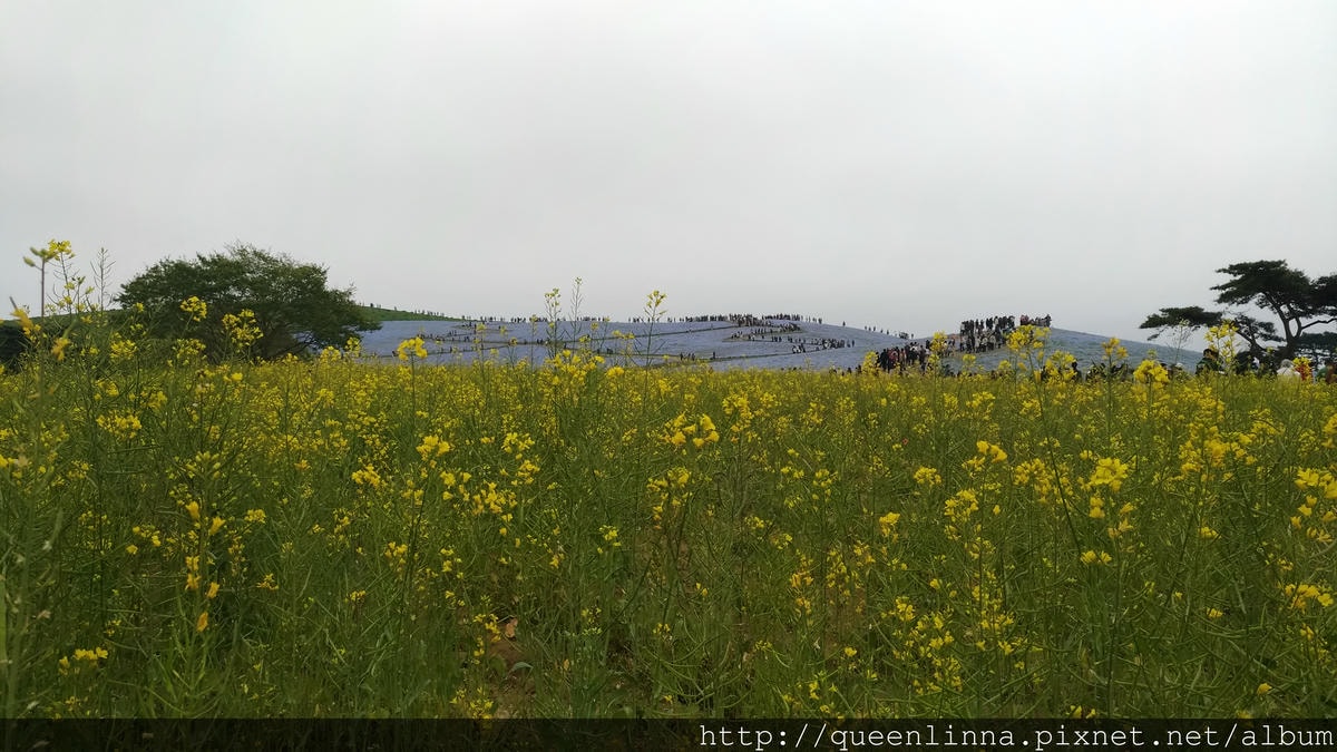 P_20180424_102136_vHDR_Auto.jpg P_20180424_102136_vHDR_Auto.jpg