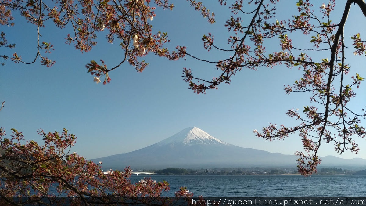 P_20180421_165125_vHDR_Auto.jpg P_20180421_165125_vHDR_Auto.jpg