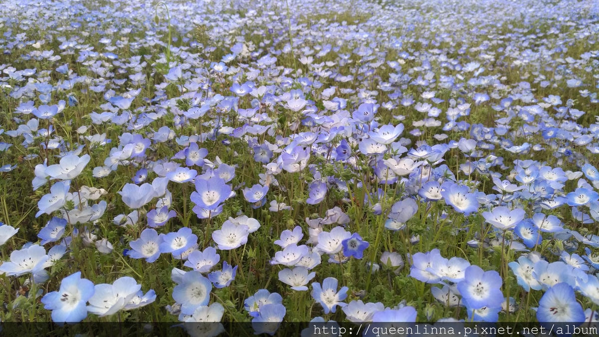 P_20180424_105539_vHDR_Auto.jpg P_20180424_105539_vHDR_Auto.jpg