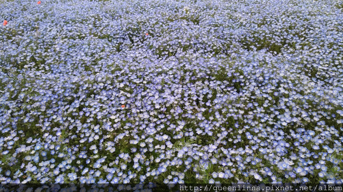 P_20180424_104942_vHDR_Auto.jpg P_20180424_104942_vHDR_Auto.jpg