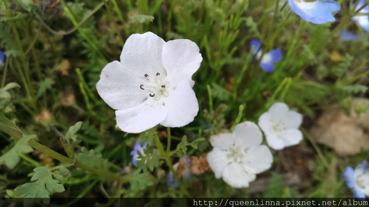 P_20180424_105018_vHDR_Auto.jpg P_20180424_105018_vHDR_Auto.jpg