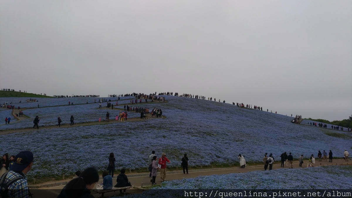 P_20180424_103210_vHDR_Auto.jpg P_20180424_103210_vHDR_Auto.jpg