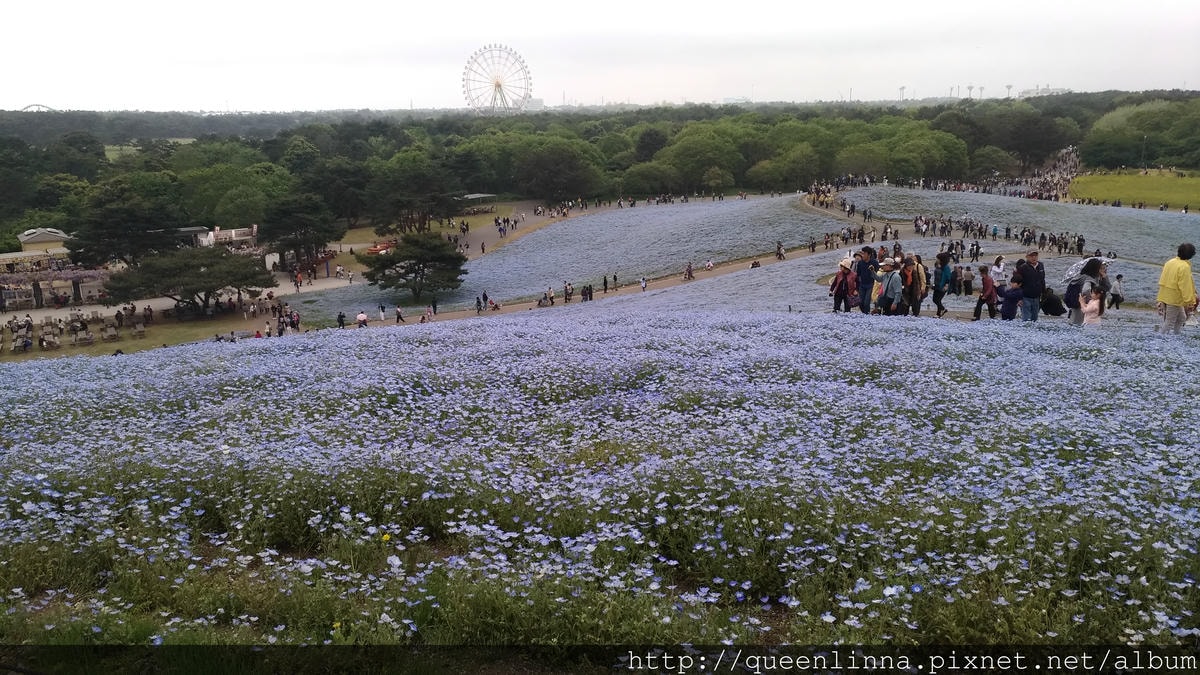 P_20180424_111027_vHDR_Auto.jpg P_20180424_111027_vHDR_Auto.jpg