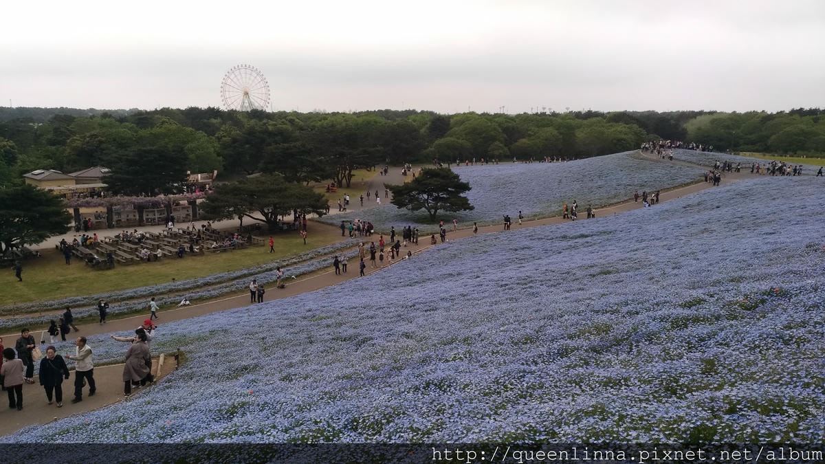 P_20180424_110649_vHDR_Auto.jpg P_20180424_110649_vHDR_Auto.jpg