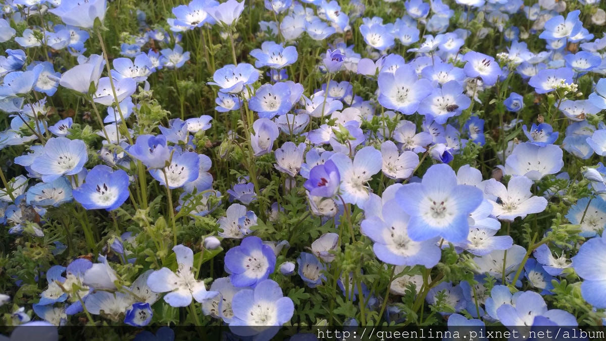 P_20180424_104950_vHDR_Auto.jpg P_20180424_104950_vHDR_Auto.jpg