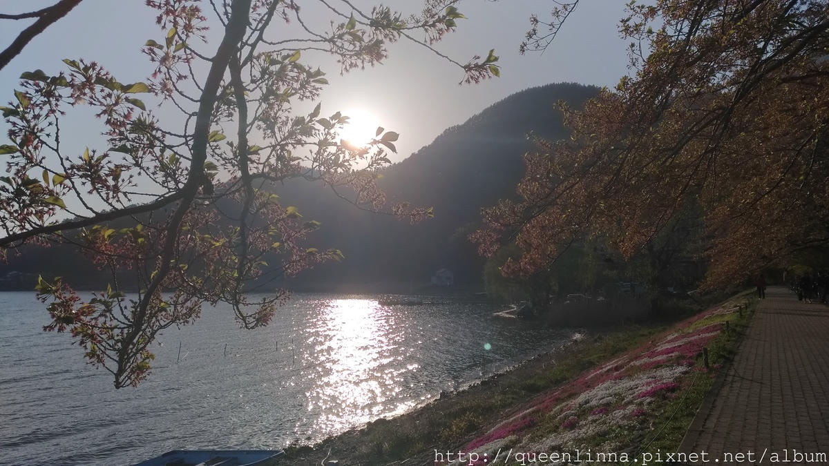 P_20180421_171441_vHDR_Auto.jpg P_20180421_171441_vHDR_Auto.jpg